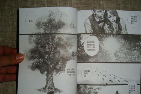 艾莎的森林艾达结局