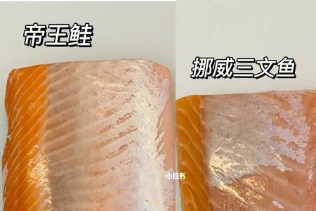 冰岛北极鲑鱼和三文鱼区别
