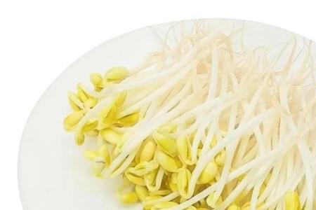 豌豆跟黄豆生豆芽哪个好吃