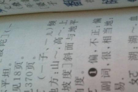 颇负盛名中的颇是什么意思