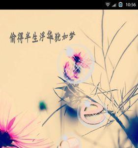 浮华半生难重来意思