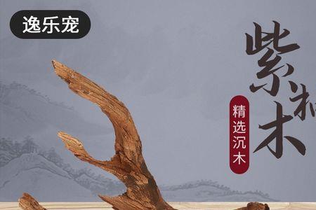 紫柚木沉木摆件怎么保养