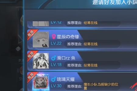 王者无法加入队伍什么意思