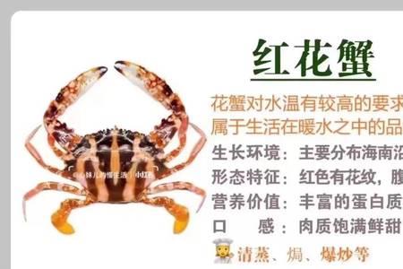 螃蟹和蟹类区别