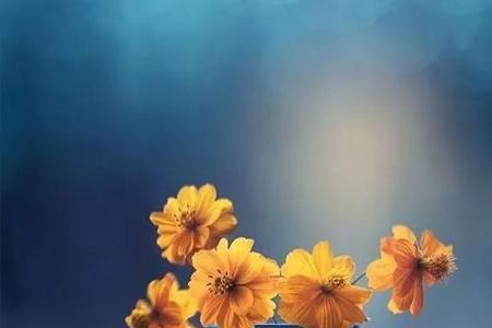 淡忘一切什么意思