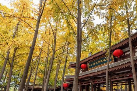 西安入秋大概什么时候变凉