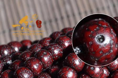 陈籽星月菩提为什么有孔