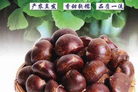 板栗各种规格型号