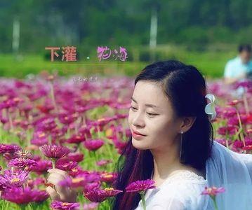 如清风徜徉什么意思