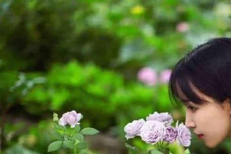李子柒签约了多少年