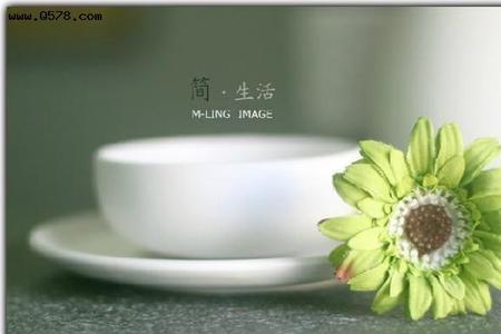 淡淡的人生原唱