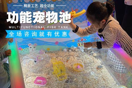 儿童乐园喂兔子一般用什么去臭