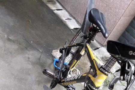 淘宝哪家店卖捷安特可靠些
