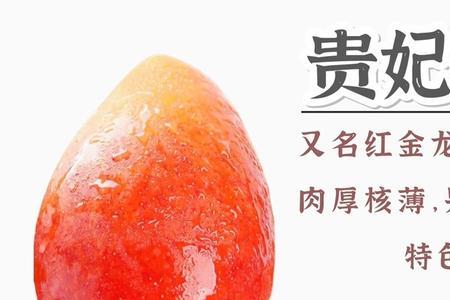 果芒与芒果的区别