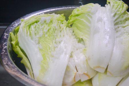 刘友钦泡菜配方
