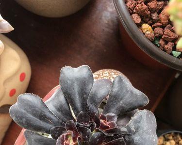 法师什么时候掐头比较合适