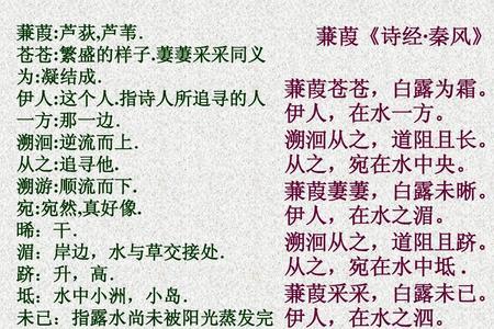 鬓满霜的近义词