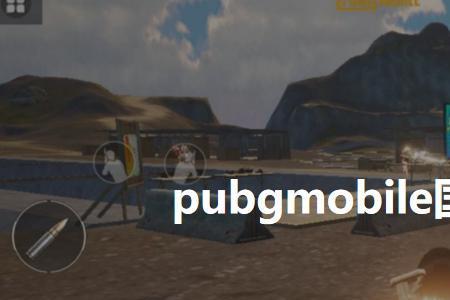 pubg国际服地铁逃生怎么下载不了