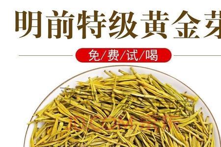 春茶特级黄金芽什么时候上市