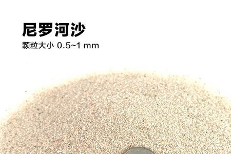 沙漠沙可以做鱼缸底砂吗