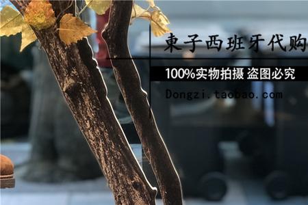 淘宝上的乐途官方店是真的吗
