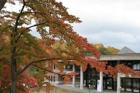 芝浦工业大学是国内什么水平