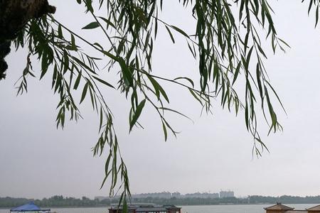 龙堤码头风景区要门票吗