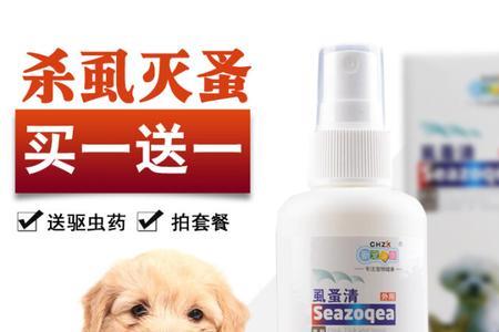 泰迪为什么夏天有跳蚤