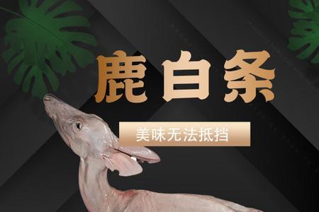 鹿肉哪个部位最嫩