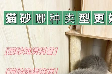 猫砂可以随便换牌子吗