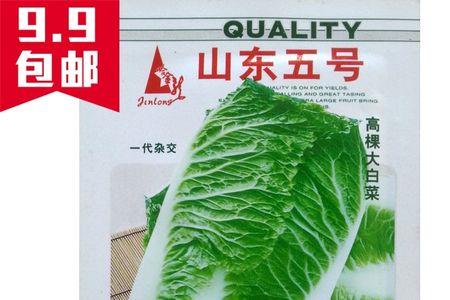 刚撒白菜种子怕晒吗