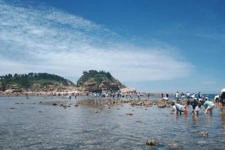 威海金海滩赶海攻略