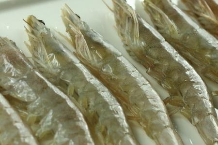 白对虾和海虾的区别
