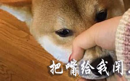 宝贝嘴好大什么梗