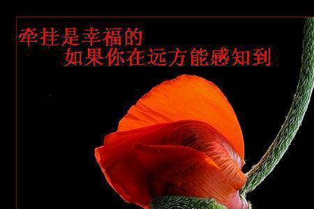 牵挂的你原唱