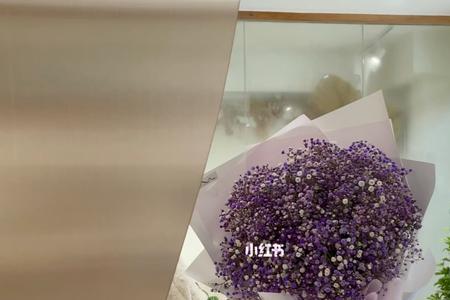 花店满天星冰箱存放方法