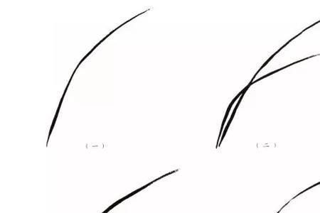 画兰花叶子一直用中锋吗