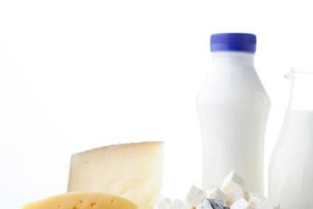 含乳及乳制品是什么意思