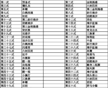 陈氏48式散手拳谱详解