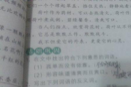 夸奖和浑浊的反义词