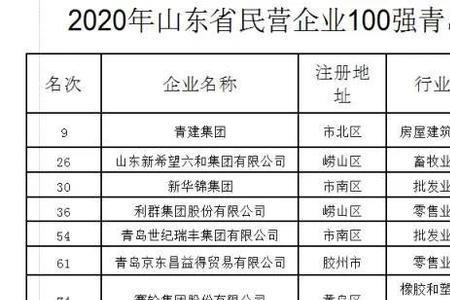 青岛十大民营企业排名