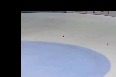 怎么看短道速滑直播