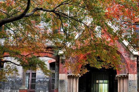 苏州大学是几个学校合起来的