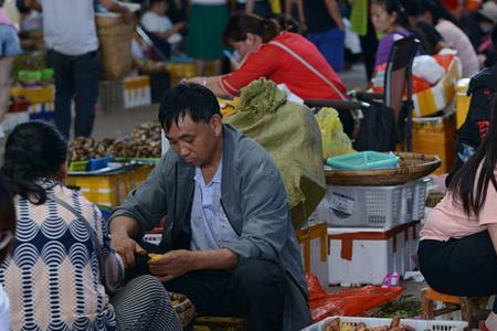 中国最大菌类批发市场