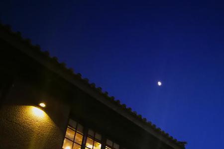 夜色如许是什么意思