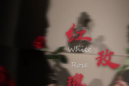 白月光红玫瑰原文