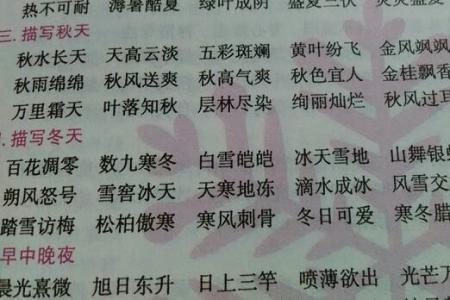 高什么爽什么四字成语