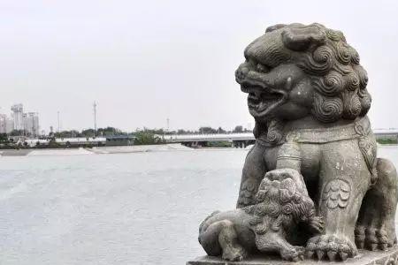 卢沟桥的狮子开头引用一句什么