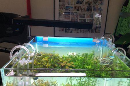 开缸水要养多久