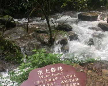 红溪景区有什么吃的